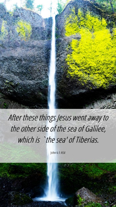 Picture 06 - John 6:1 ASV Mobile Phone Wallpaper - After these things Jesus went away to the other - Mobile Bible Verse Wallpaper