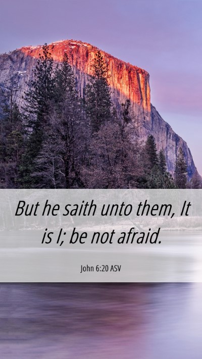 Picture 06 - John 6:20 ASV Mobile Phone Wallpaper - But he saith unto them, It is I; be not - Mobile Bible Verse Wallpaper