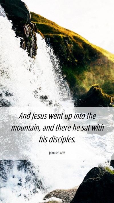Picture 06 - John 6:3 ASV Mobile Phone Wallpaper - And Jesus went up into the mountain, and there he - Mobile Bible Verse Wallpaper