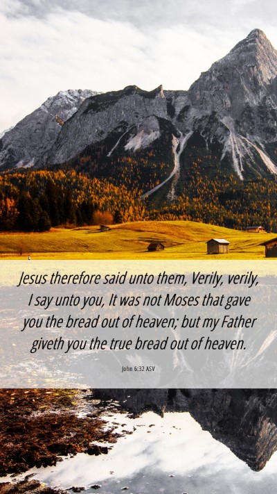 Picture 06 - John 6:32 ASV Mobile Phone Wallpaper - Jesus therefore said unto them, Verily, verily, I - Mobile Bible Verse Wallpaper