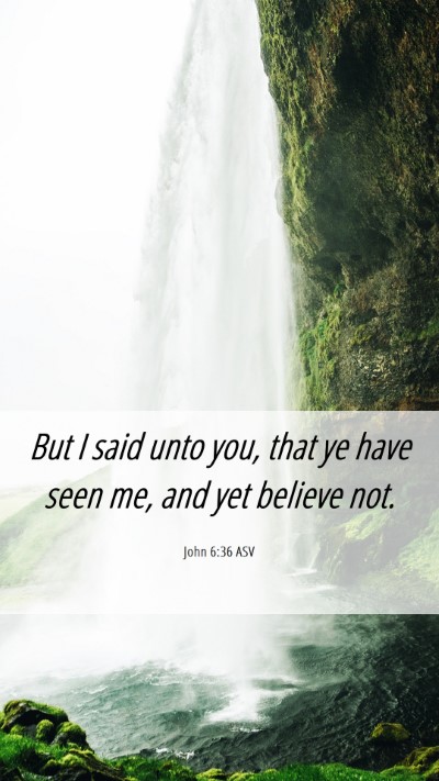 Picture 06 - John 6:36 ASV Mobile Phone Wallpaper - But I said unto you, that ye have seen me, and - Mobile Bible Verse Wallpaper