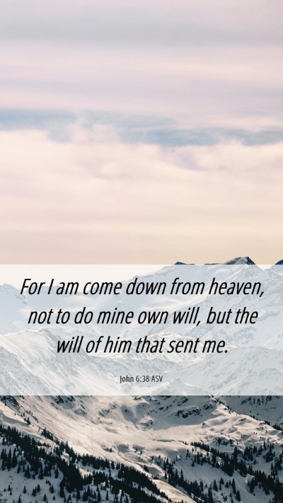 Picture 06 - John 6:38 ASV Mobile Phone Wallpaper - For I am come down from heaven, not to do mine - Mobile Bible Verse Wallpaper