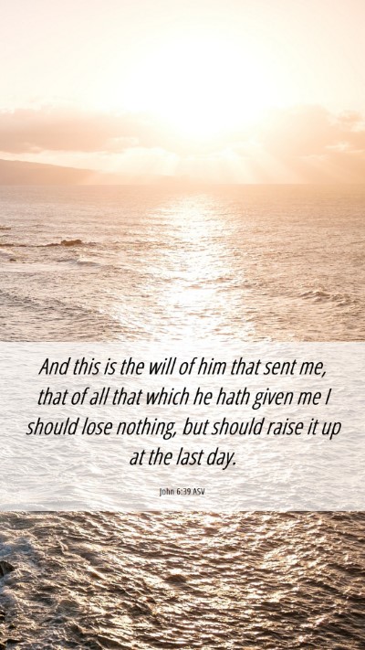 Picture 06 - John 6:39 ASV Mobile Phone Wallpaper - And this is the will of him that sent me, that of - Mobile Bible Verse Wallpaper