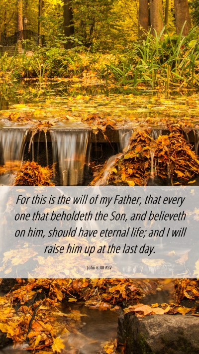 Picture 06 - John 6:40 ASV Mobile Phone Wallpaper - For this is the will of my Father, that every one - Mobile Bible Verse Wallpaper