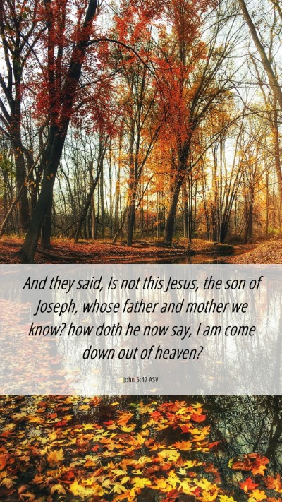 Picture 06 - John 6:42 ASV Mobile Phone Wallpaper - And they said, Is not this Jesus, the son of - Mobile Bible Verse Wallpaper