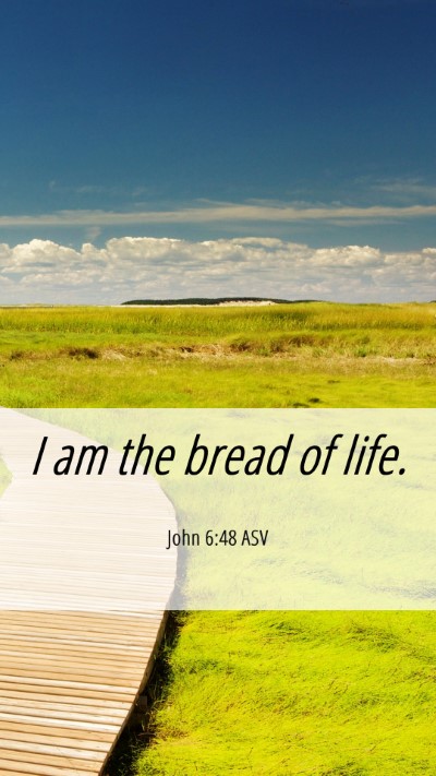 Picture 06 - John 6:48 ASV Mobile Phone Wallpaper - I am the bread of - Mobile Bible Verse Wallpaper