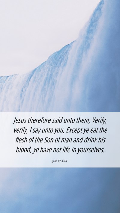 Picture 06 - John 6:53 ASV Mobile Phone Wallpaper - Jesus therefore said unto them, Verily, verily, I - Mobile Bible Verse Wallpaper