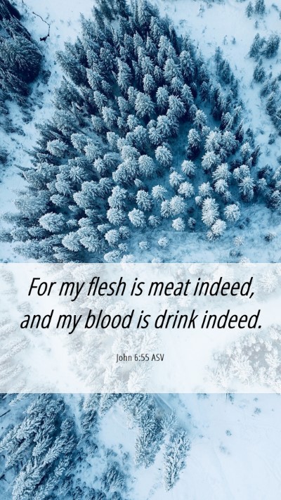 Picture 06 - John 6:55 ASV Mobile Phone Wallpaper - For my flesh is meat indeed, and my blood is - Mobile Bible Verse Wallpaper