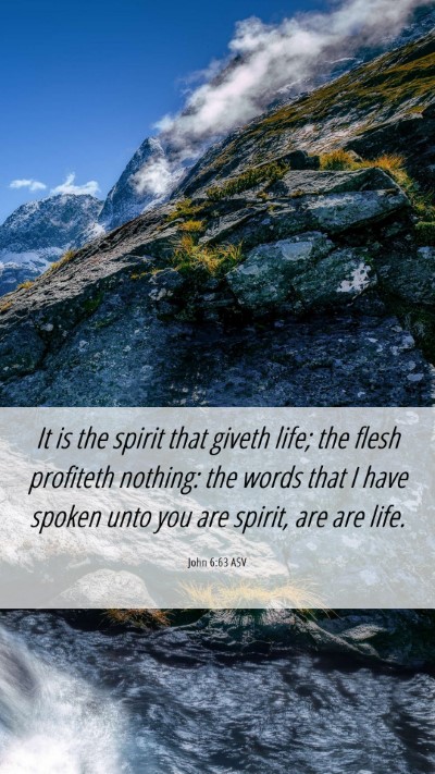 Picture 06 - John 6:63 ASV Mobile Phone Wallpaper - It is the spirit that giveth life; the flesh - Mobile Bible Verse Wallpaper