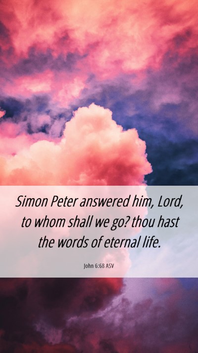Picture 06 - John 6:68 ASV Mobile Phone Wallpaper - Simon Peter answered him, Lord, to whom shall we - Mobile Bible Verse Wallpaper