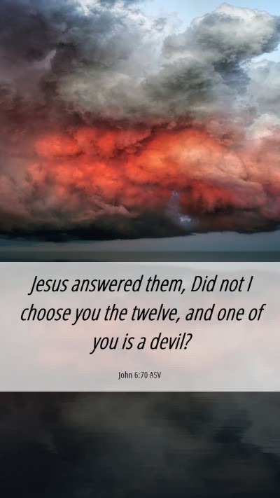 Picture 06 - John 6:70 ASV Mobile Phone Wallpaper - Jesus answered them, Did not I choose you the - Mobile Bible Verse Wallpaper