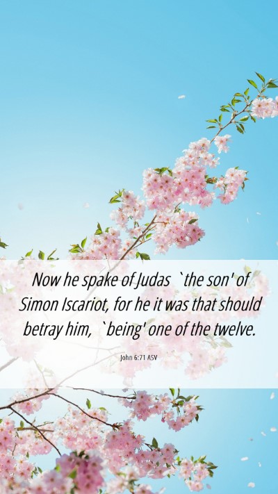 Picture 06 - John 6:71 ASV Mobile Phone Wallpaper - Now he spake of Judas `the son' of Simon - Mobile Bible Verse Wallpaper