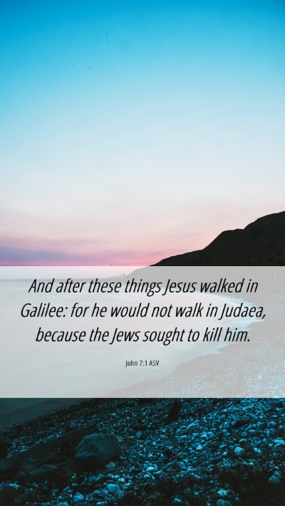 Picture 06 - John 7:1 ASV Mobile Phone Wallpaper - And after these things Jesus walked in Galilee: - Mobile Bible Verse Wallpaper