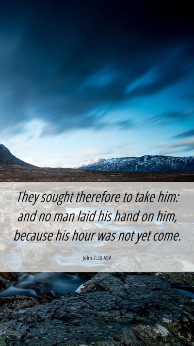 Picture 06 - John 7:30 ASV Mobile Phone Wallpaper - They sought therefore to take him: and no man - Mobile Bible Verse Wallpaper