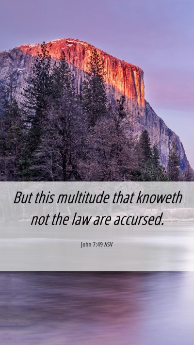 Picture 06 - John 7:49 ASV Mobile Phone Wallpaper - But this multitude that knoweth not the law are - Mobile Bible Verse Wallpaper