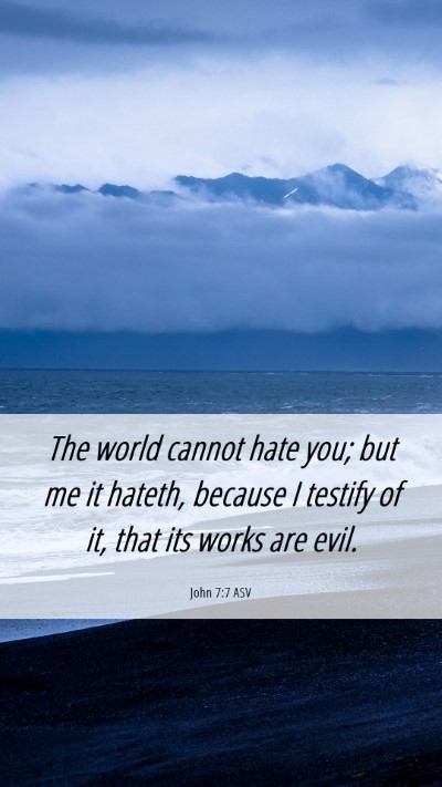 Picture 06 - John 7:7 ASV Mobile Phone Wallpaper - The world cannot hate you; but me it hateth, - Mobile Bible Verse Wallpaper