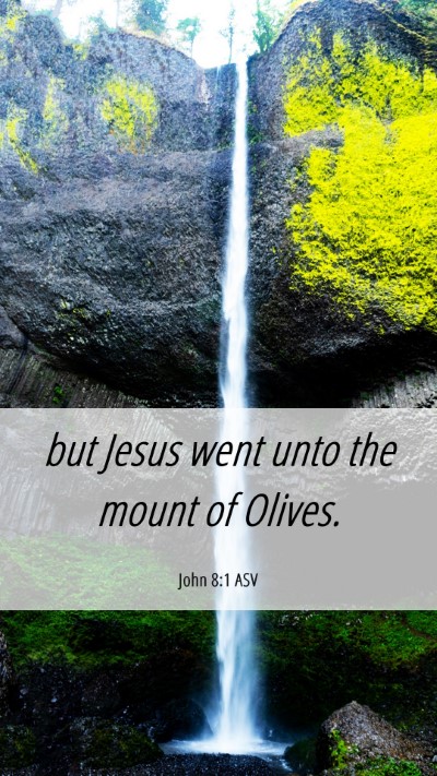 Picture 06 - John 8:1 ASV Mobile Phone Wallpaper - but Jesus went unto the mount of - Mobile Bible Verse Wallpaper