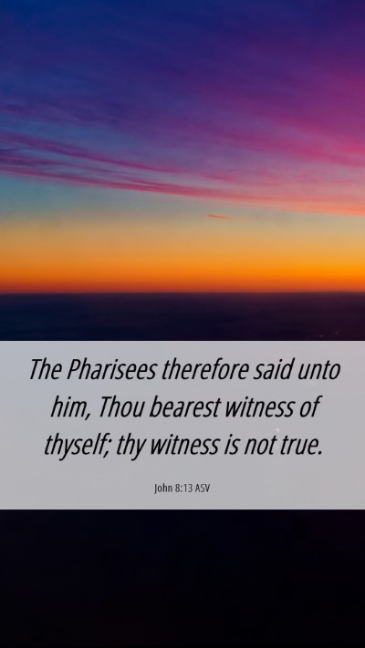Picture 06 - John 8:13 ASV Mobile Phone Wallpaper - The Pharisees therefore said unto him, Thou - Mobile Bible Verse Wallpaper