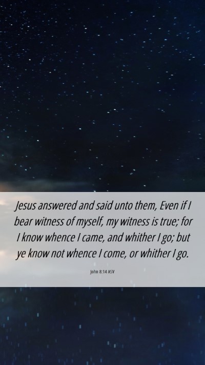 Picture 06 - John 8:14 ASV Mobile Phone Wallpaper - Jesus answered and said unto them, Even if I bear - Mobile Bible Verse Wallpaper