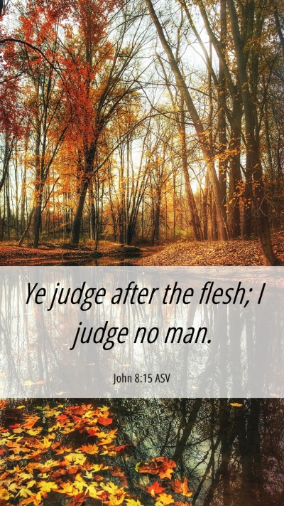 Picture 06 - John 8:15 ASV Mobile Phone Wallpaper - Ye judge after the flesh; I judge no - Mobile Bible Verse Wallpaper