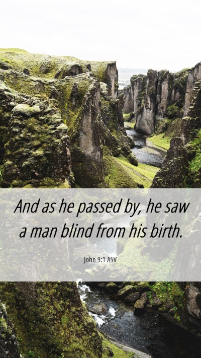 Picture 06 - John 9:1 ASV Mobile Phone Wallpaper - And as he passed by, he saw a man blind from his - Mobile Bible Verse Wallpaper