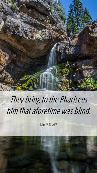 Picture 06 - John 9:13 ASV Mobile Phone Wallpaper - They bring to the Pharisees him that aforetime - Mobile Bible Verse Wallpaper