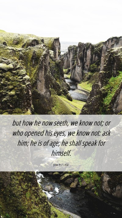 Picture 06 - John 9:21 ASV Mobile Phone Wallpaper - but how he now seeth, we know not; or who opened - Mobile Bible Verse Wallpaper