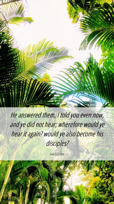 Picture 06 - John 9:27 ASV Mobile Phone Wallpaper - He answered them, I told you even now, and ye did - Mobile Bible Verse Wallpaper