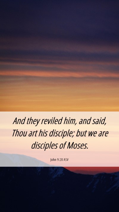 Picture 06 - John 9:28 ASV Mobile Phone Wallpaper - And they reviled him, and said, Thou art his - Mobile Bible Verse Wallpaper