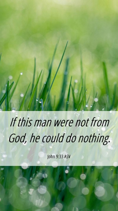 Picture 06 - John 9:33 ASV Mobile Phone Wallpaper - If this man were not from God, he could do - Mobile Bible Verse Wallpaper