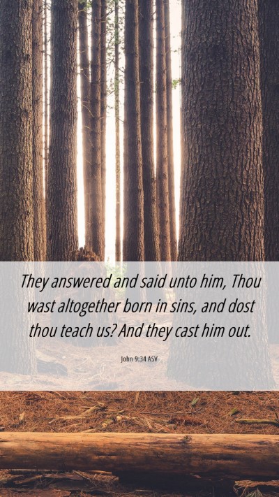 Picture 06 - John 9:34 ASV Mobile Phone Wallpaper - They answered and said unto him, Thou wast - Mobile Bible Verse Wallpaper