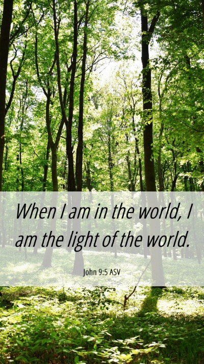 Picture 06 - John 9:5 ASV Mobile Phone Wallpaper - When I am in the world, I am the light of the - Mobile Bible Verse Wallpaper