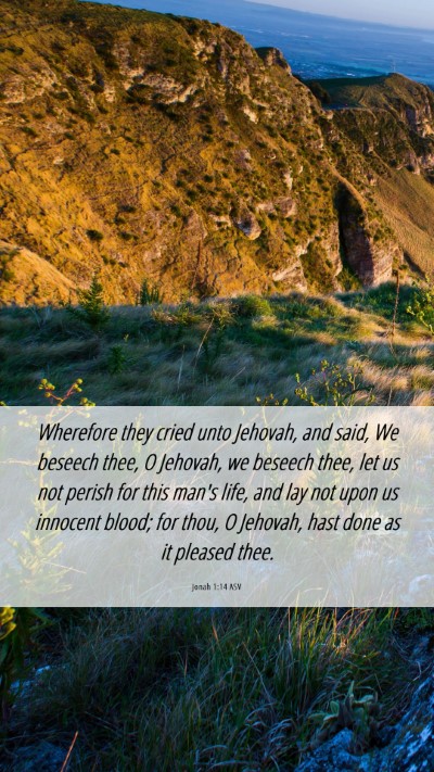 Picture 06 - Jonah 1:14 ASV Mobile Phone Wallpaper - Wherefore they cried unto Jehovah, and said, We - Mobile Bible Verse Wallpaper