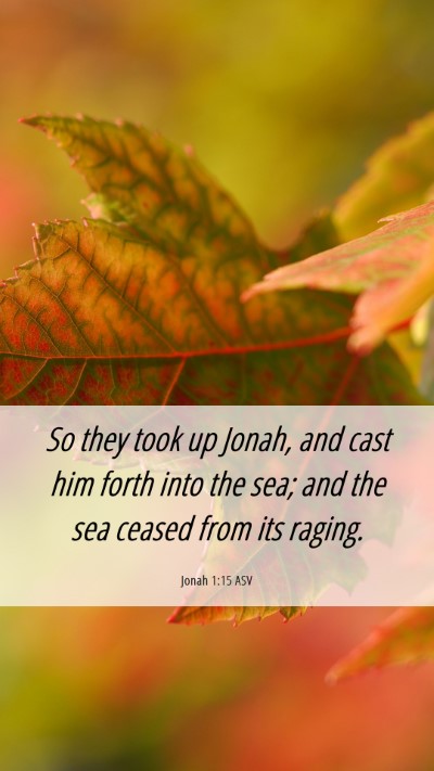 Picture 06 - Jonah 1:15 ASV Mobile Phone Wallpaper - So they took up Jonah, and cast him forth into - Mobile Bible Verse Wallpaper