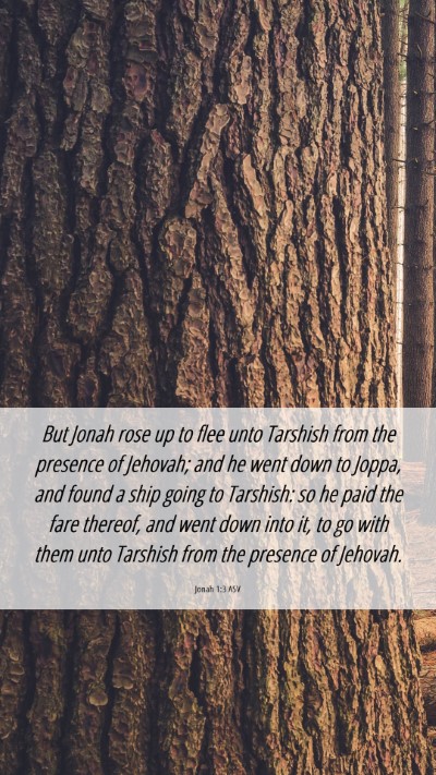 Picture 06 - Jonah 1:3 ASV Mobile Phone Wallpaper - But Jonah rose up to flee unto Tarshish from the - Mobile Bible Verse Wallpaper