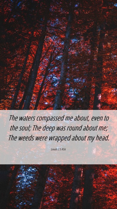 Picture 06 - Jonah 2:5 ASV Mobile Phone Wallpaper - The waters compassed me about, even to the soul; - Mobile Bible Verse Wallpaper