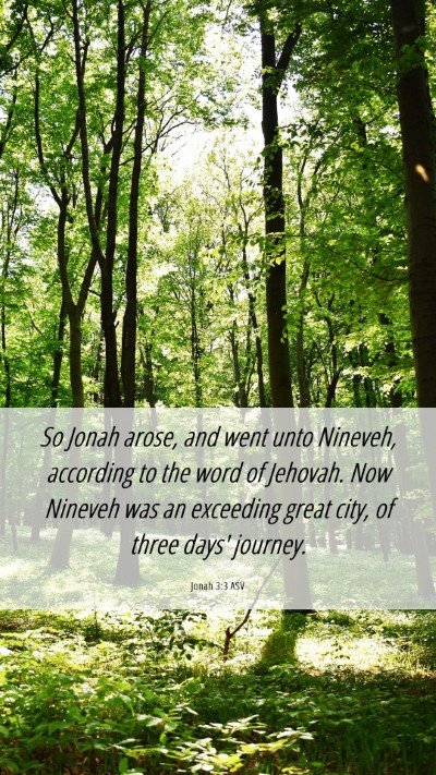 Picture 06 - Jonah 3:3 ASV Mobile Phone Wallpaper - So Jonah arose, and went unto Nineveh, according - Mobile Bible Verse Wallpaper