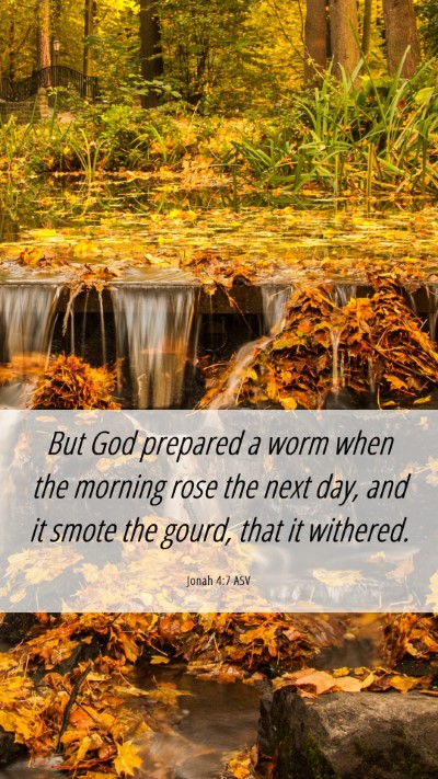 Picture 06 - Jonah 4:7 ASV Mobile Phone Wallpaper - But God prepared a worm when the morning rose the - Mobile Bible Verse Wallpaper