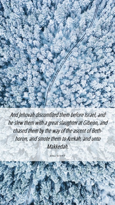 Picture 06 - Joshua 10:10 ASV Mobile Phone Wallpaper - And Jehovah discomfited them before Israel, and - Mobile Bible Verse Wallpaper
