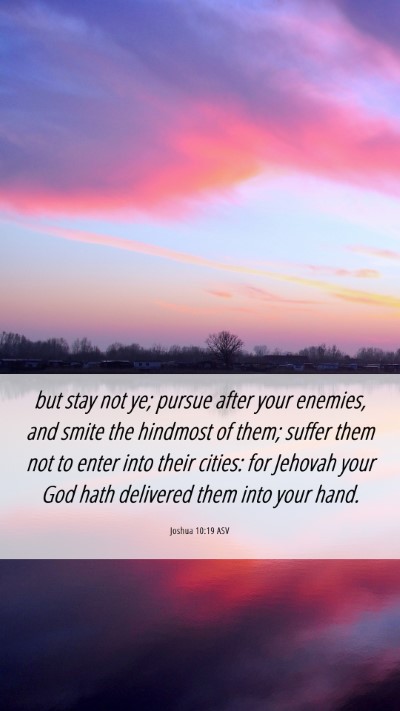 Picture 06 - Joshua 10:19 ASV Mobile Phone Wallpaper - but stay not ye; pursue after your enemies, and - Mobile Bible Verse Wallpaper