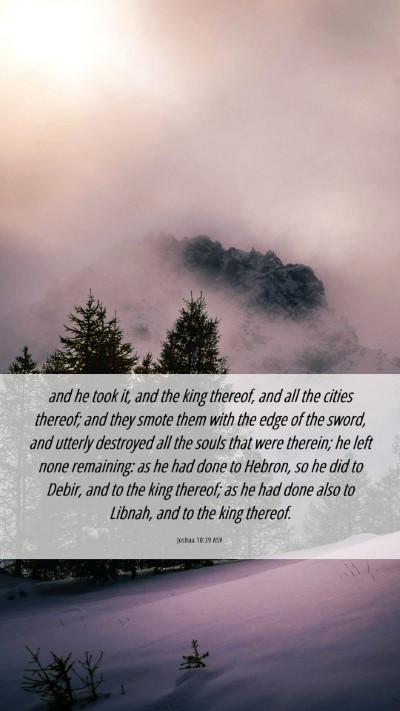 Picture 06 - Joshua 10:39 ASV Mobile Phone Wallpaper - and he took it, and the king thereof, and all the - Mobile Bible Verse Wallpaper