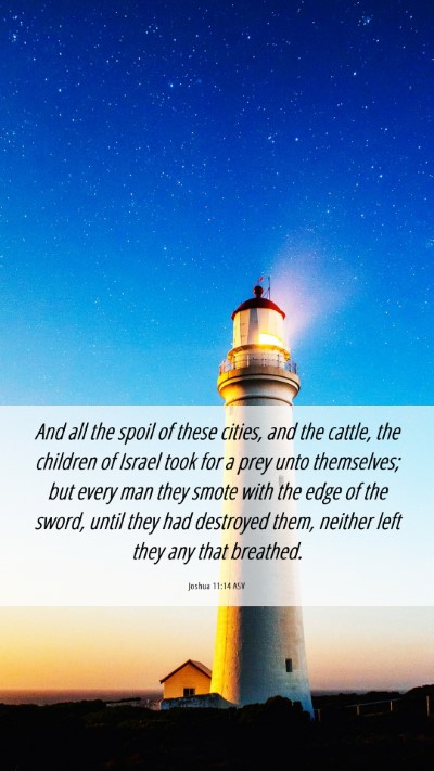 Picture 06 - Joshua 11:14 ASV Mobile Phone Wallpaper - And all the spoil of these cities, and the - Mobile Bible Verse Wallpaper