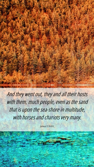 Picture 06 - Joshua 11:4 ASV Mobile Phone Wallpaper - And they went out, they and all their hosts with - Mobile Bible Verse Wallpaper