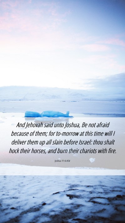 Picture 06 - Joshua 11:6 ASV Mobile Phone Wallpaper - And Jehovah said unto Joshua, Be not afraid - Mobile Bible Verse Wallpaper