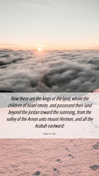 Picture 06 - Joshua 12:1 ASV Mobile Phone Wallpaper - Now these are the kings of the land, whom the - Mobile Bible Verse Wallpaper