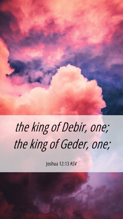 Picture 06 - Joshua 12:13 ASV Mobile Phone Wallpaper - the king of Debir, one; the king of Geder, - Mobile Bible Verse Wallpaper
