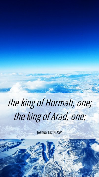 Picture 06 - Joshua 12:14 ASV Mobile Phone Wallpaper - the king of Hormah, one; the king of Arad, - Mobile Bible Verse Wallpaper