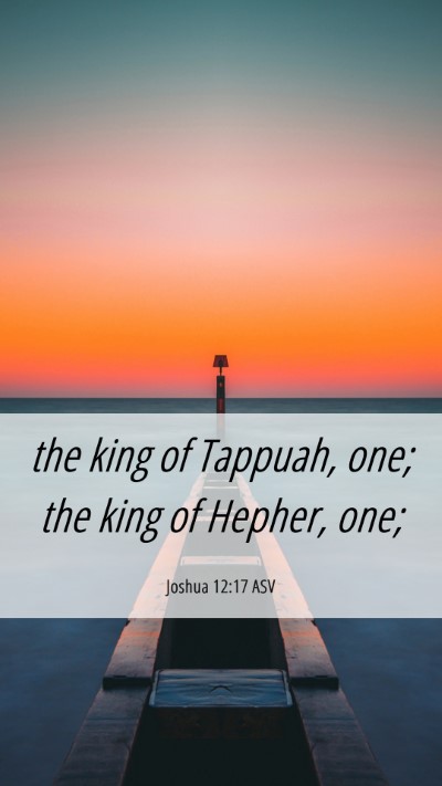 Picture 06 - Joshua 12:17 ASV Mobile Phone Wallpaper - the king of Tappuah, one; the king of Hepher, - Mobile Bible Verse Wallpaper