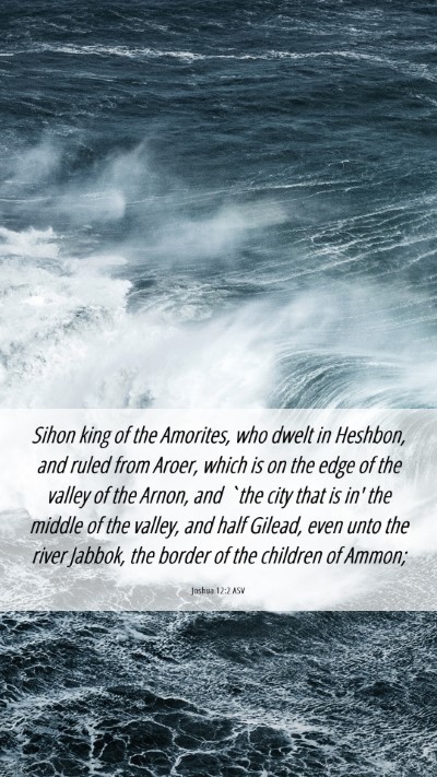 Picture 06 - Joshua 12:2 ASV Mobile Phone Wallpaper - Sihon king of the Amorites, who dwelt in Heshbon, - Mobile Bible Verse Wallpaper