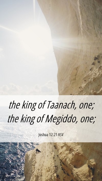 Picture 06 - Joshua 12:21 ASV Mobile Phone Wallpaper - the king of Taanach, one; the king of Megiddo, - Mobile Bible Verse Wallpaper